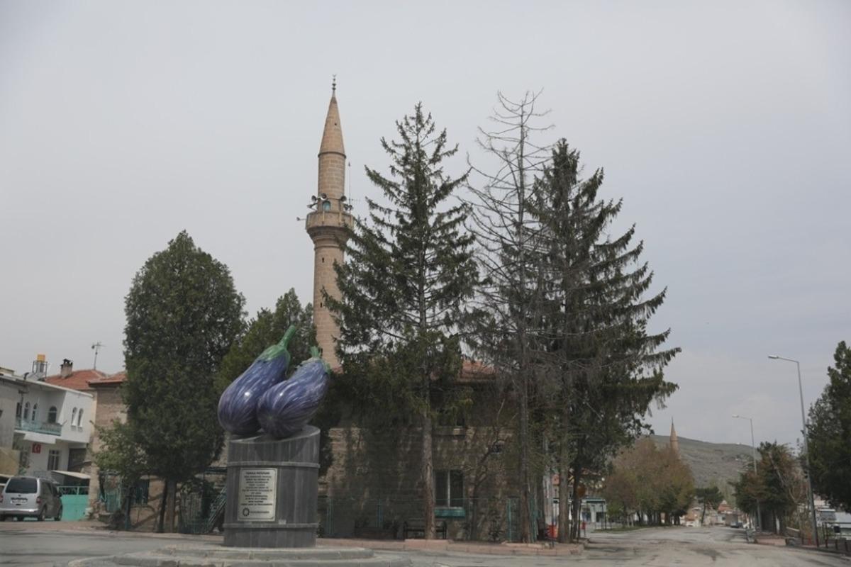 Kocasinan, T&uuml;rkiye&rsquo;nin tarım merkezi olacak