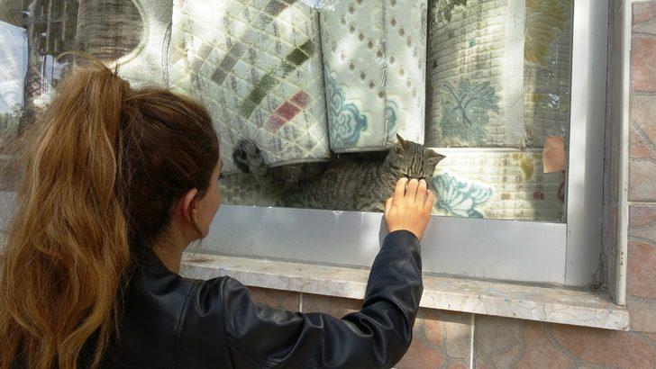 Kısıtlama öncesi mağazada mahsur kaldı! Minik kedi, 2 gün sonra kurtarıldı G2