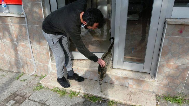 Kısıtlama öncesi mağazada mahsur kaldı! Minik kedi, 2 gün sonra kurtarıldı G5