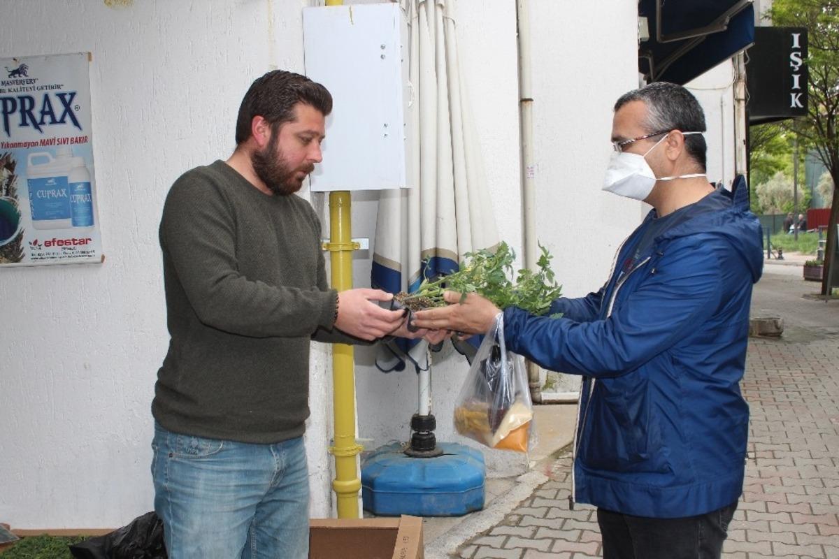 Salgın Muğla&rsquo;da fide satışlarını arttırdı