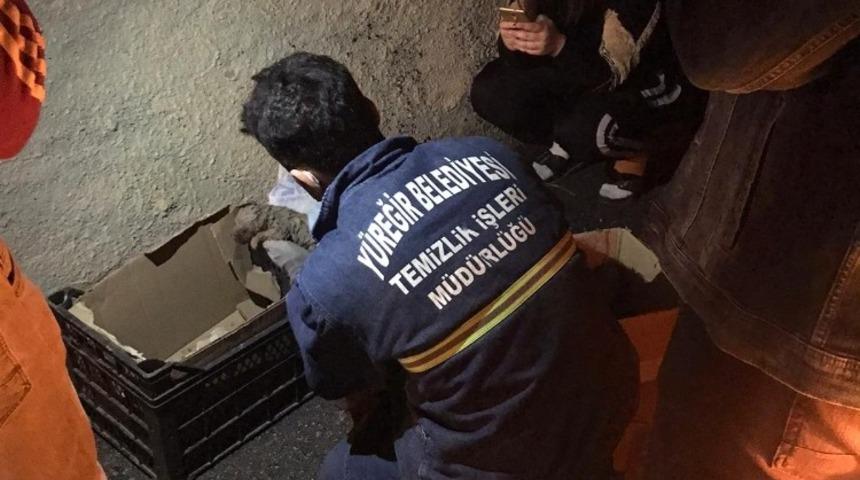 Çamura saplanan yavru köpekleri belediye kurtardı