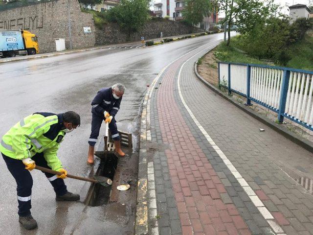 Kent genelindeki yeşil alanlar temizleniyor