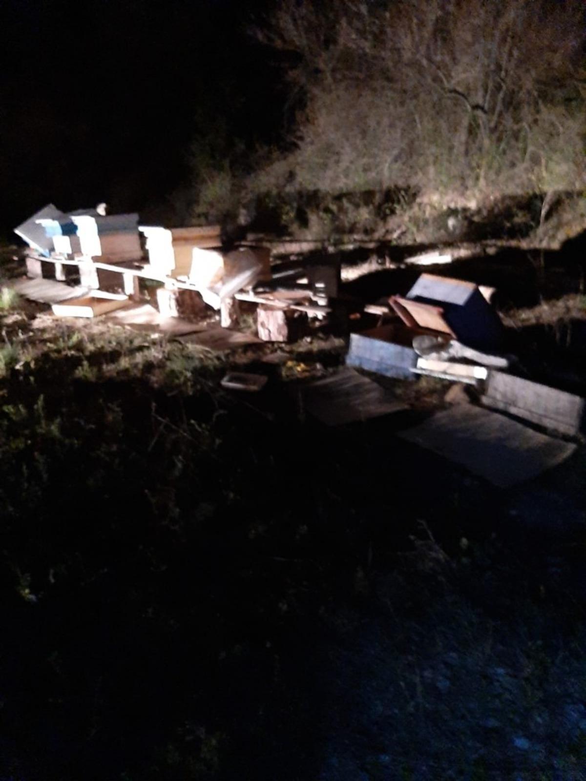 Tosya&rsquo;da arı kovanlarına ayı saldırdı