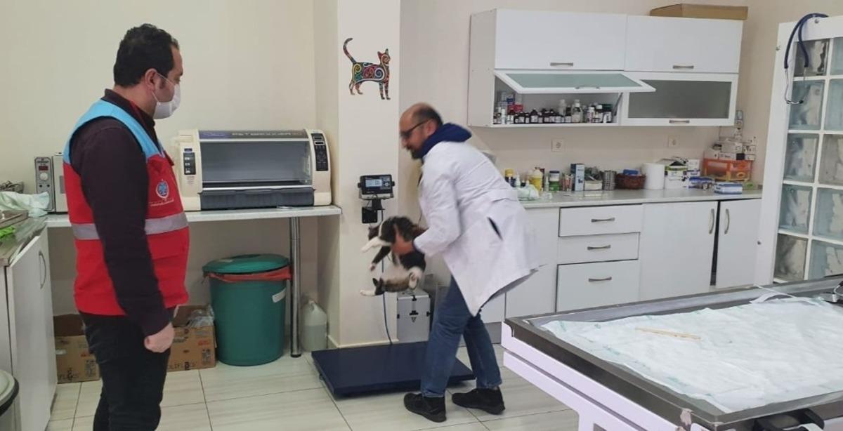 Vefa Sosyal Destek Grubu ekipleri, kedisi rahatsızlanan vatandaşın yardımına koştu