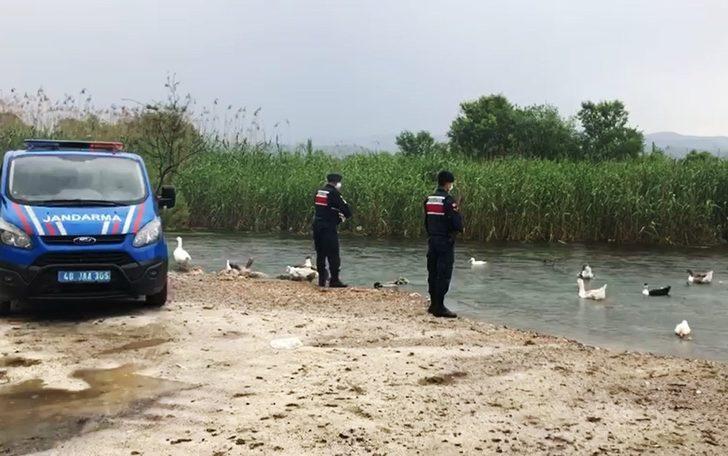 Azmağın sembolü Kazlar için seferber oldular G2