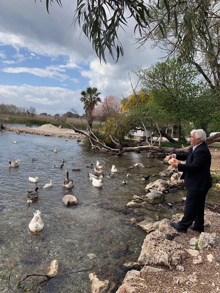 Azmağın sembolü Kazlar için seferber oldular G4
