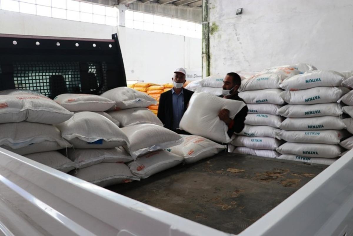 Y&uuml;zde 75 hibeli &ccedil;eltik tohumu dağıtımı