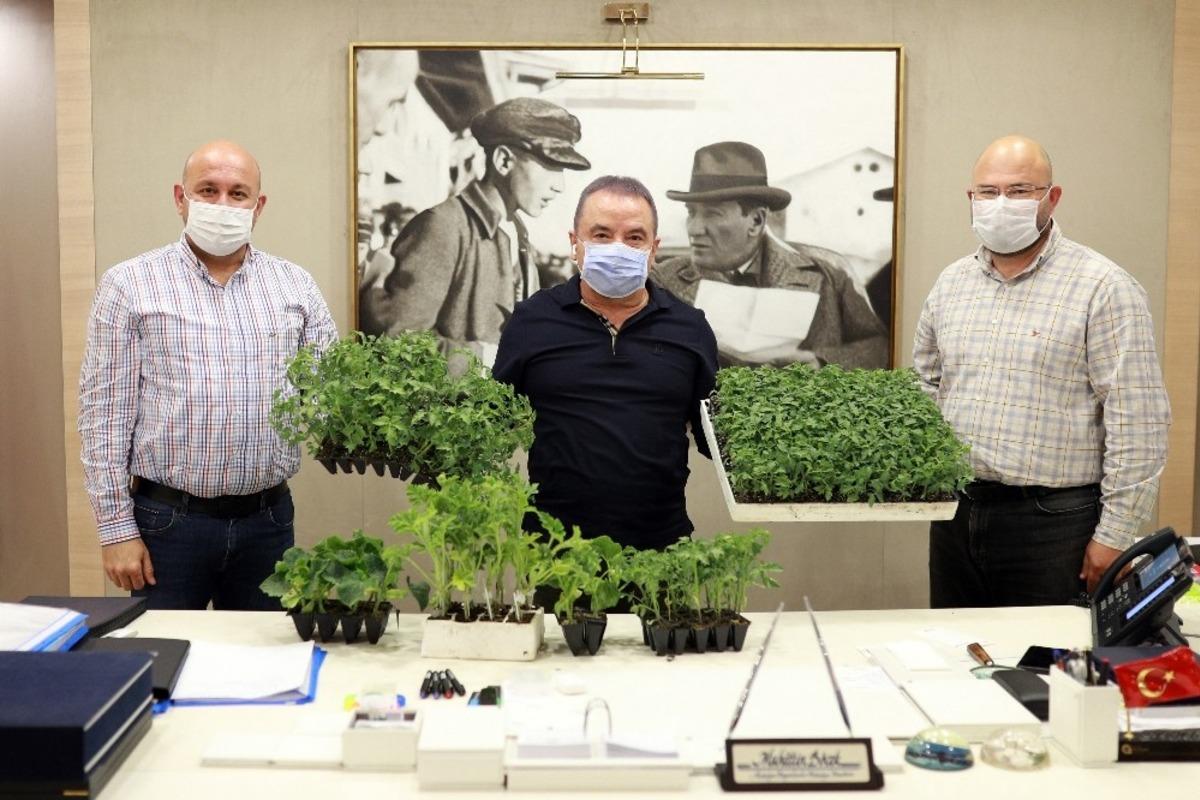 B&uuml;y&uuml;kşehir&rsquo;den &ccedil;ift&ccedil;ilere fide desteği