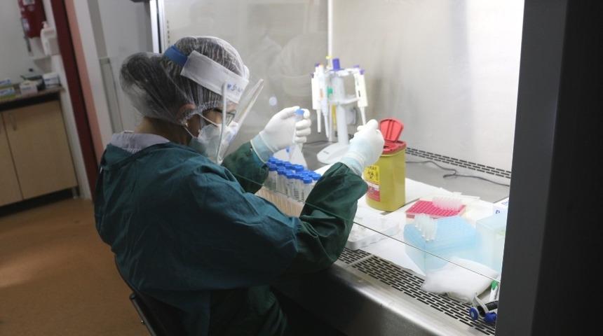 Prof. Dr. C&ouml;mert: &ldquo;G&uuml;nl&uuml;k PCR testi kapasitemiz 500-600 arasında&rdquo;