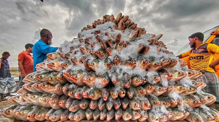 2020'nin en iyi yemek fotoğrafları seçildi (Pink Lady Yemek Fotoğrafçıları Yarışması)