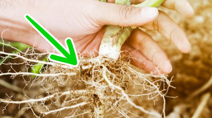 Bebek pudrasının kullanım alanlarına &ccedil;ok şaşıracaksınız! 