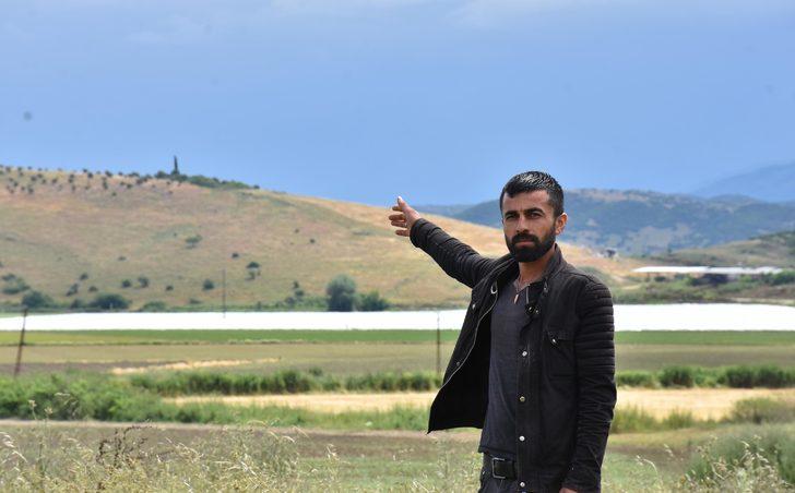 Çekirge istilasına karşı kimyasal mücadele başlatılacak G2