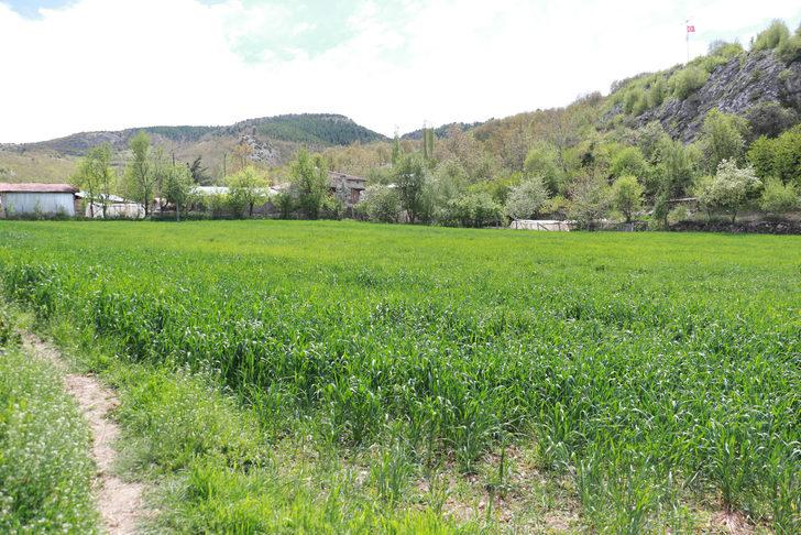 Ambulans helikopteri tarlasına indirtmeyen kadın konuştu G4