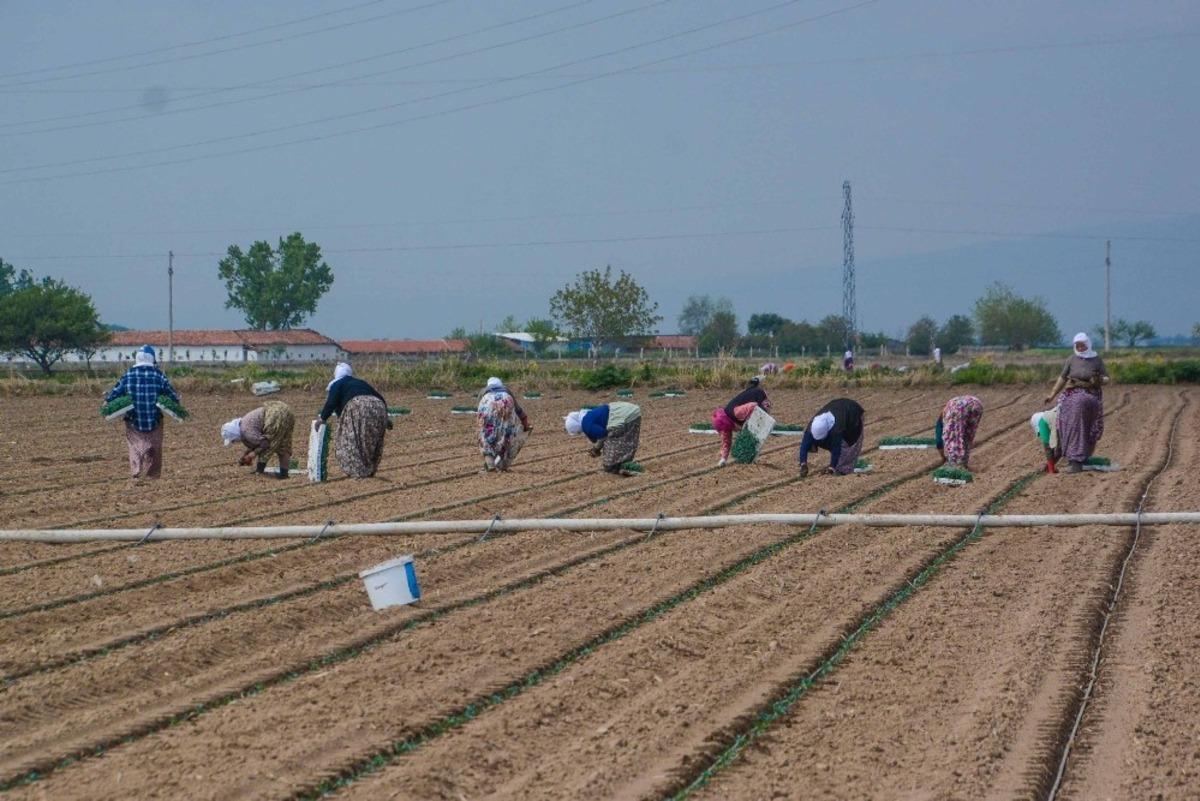 Başkan &Ouml;zkan&rsquo;dan pancar &uuml;reticilerine sevindirici haber