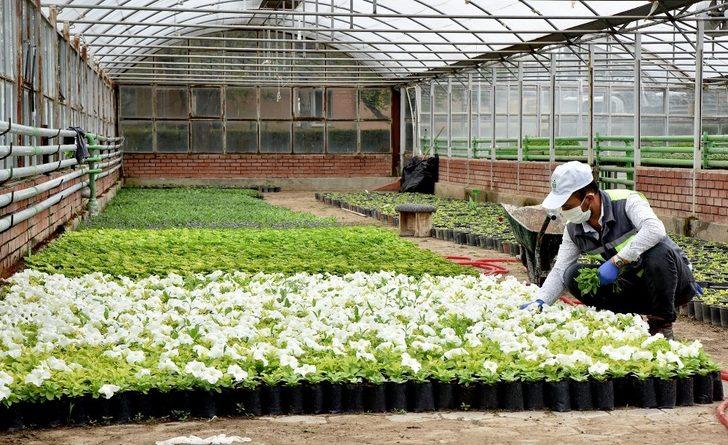 Tepebaşı çiçek açıyor G2