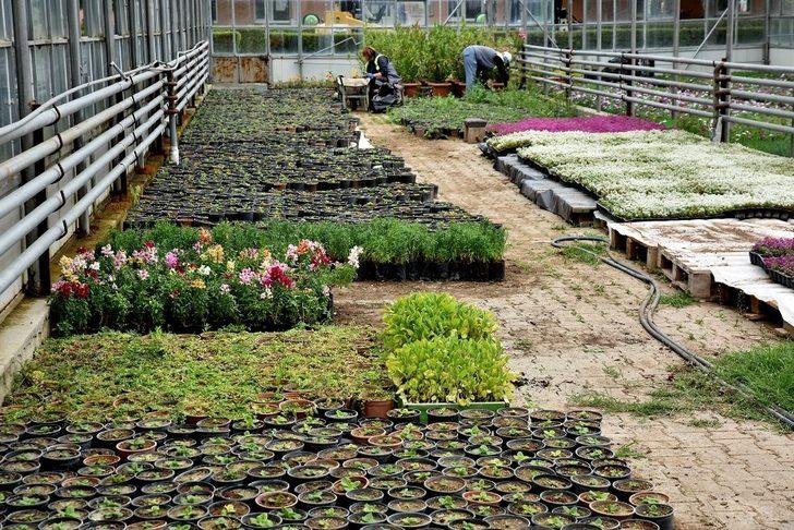 Tepebaşı çiçek açıyor G3