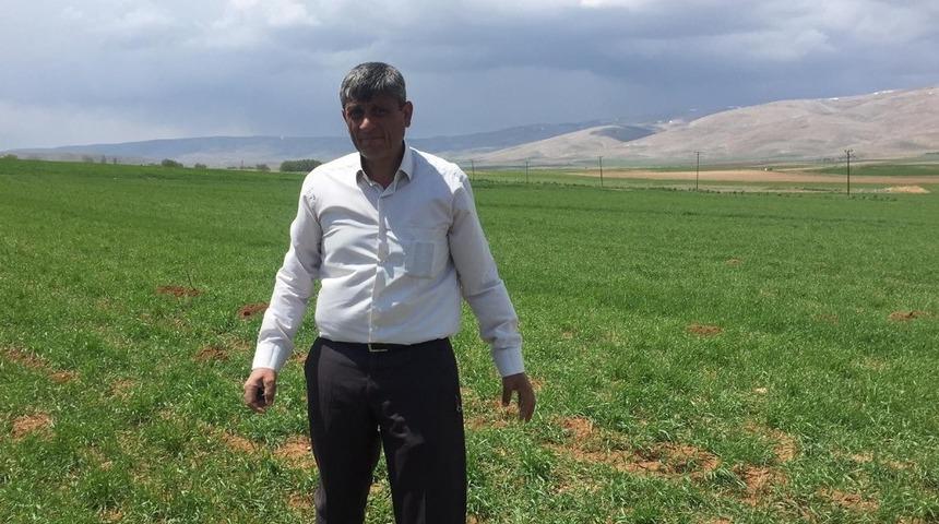 Darende&rsquo;de kuraklık tehlikesi