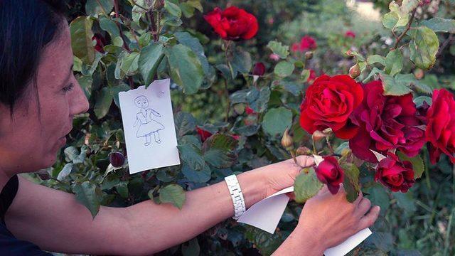 Hıdırellez ne zaman? Hıdırellez'de neler yapılır, nasıl dilek tutulur? 