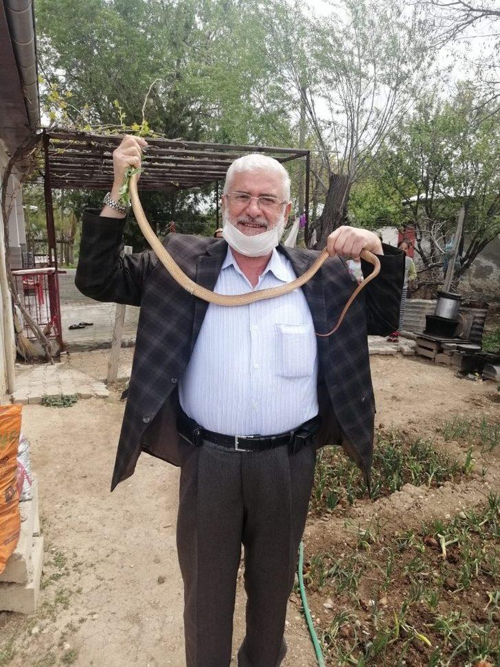 Eve giren 1,5 metrelik boz yılanı elleriyle yakalayıp doğaya saldılar G2