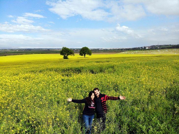 Kartpostallardan farksız! Kanola bahçesi mest etti G1