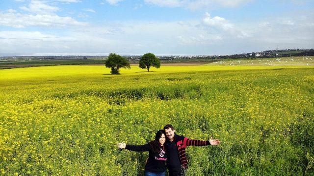 Kartpostallardan farksız! Kanola bahçesi mest etti