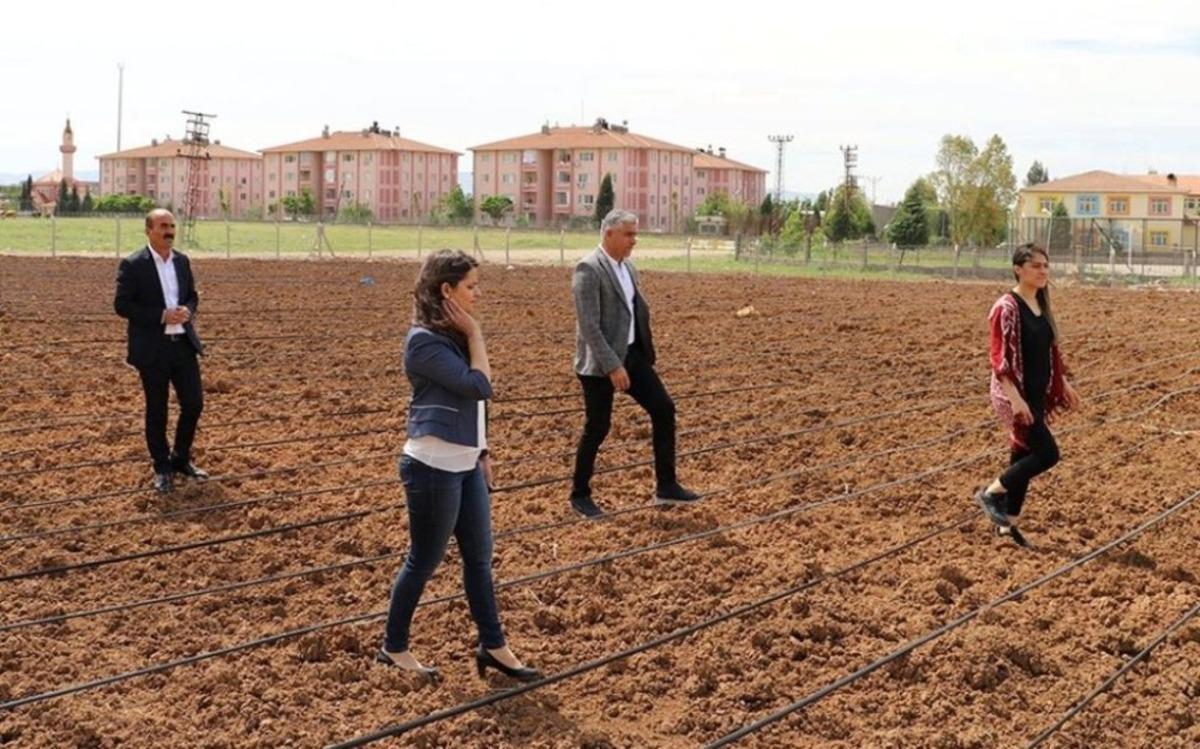 Silopi&rsquo;de fide ekimi başladı