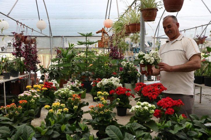 Koronavirüs sayesinde balkonlar bahçelere dönüştü G1