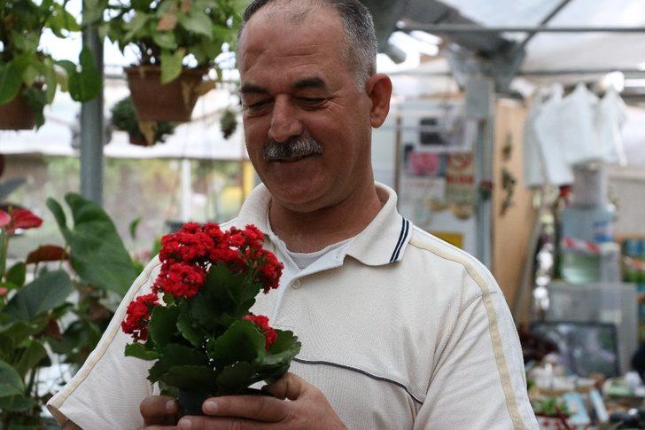 Koronavirüs sayesinde balkonlar bahçelere dönüştü G2