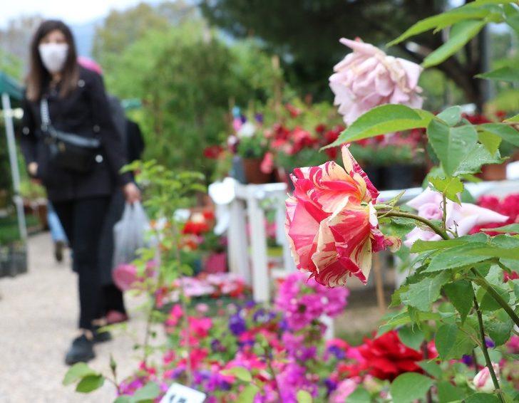 Koronavirüs sayesinde balkonlar bahçelere dönüştü G4