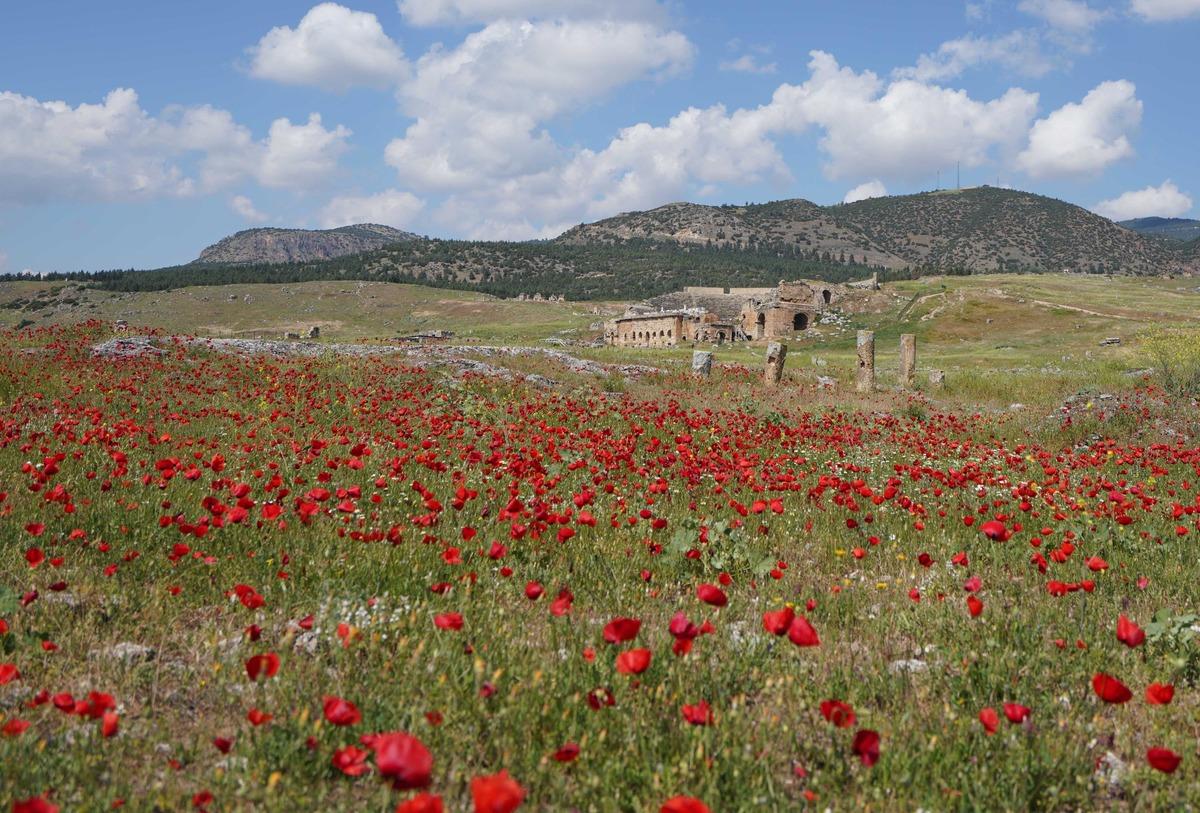Hierapolis Antik Kenti'nde g&ouml;rsel ş&ouml;len!