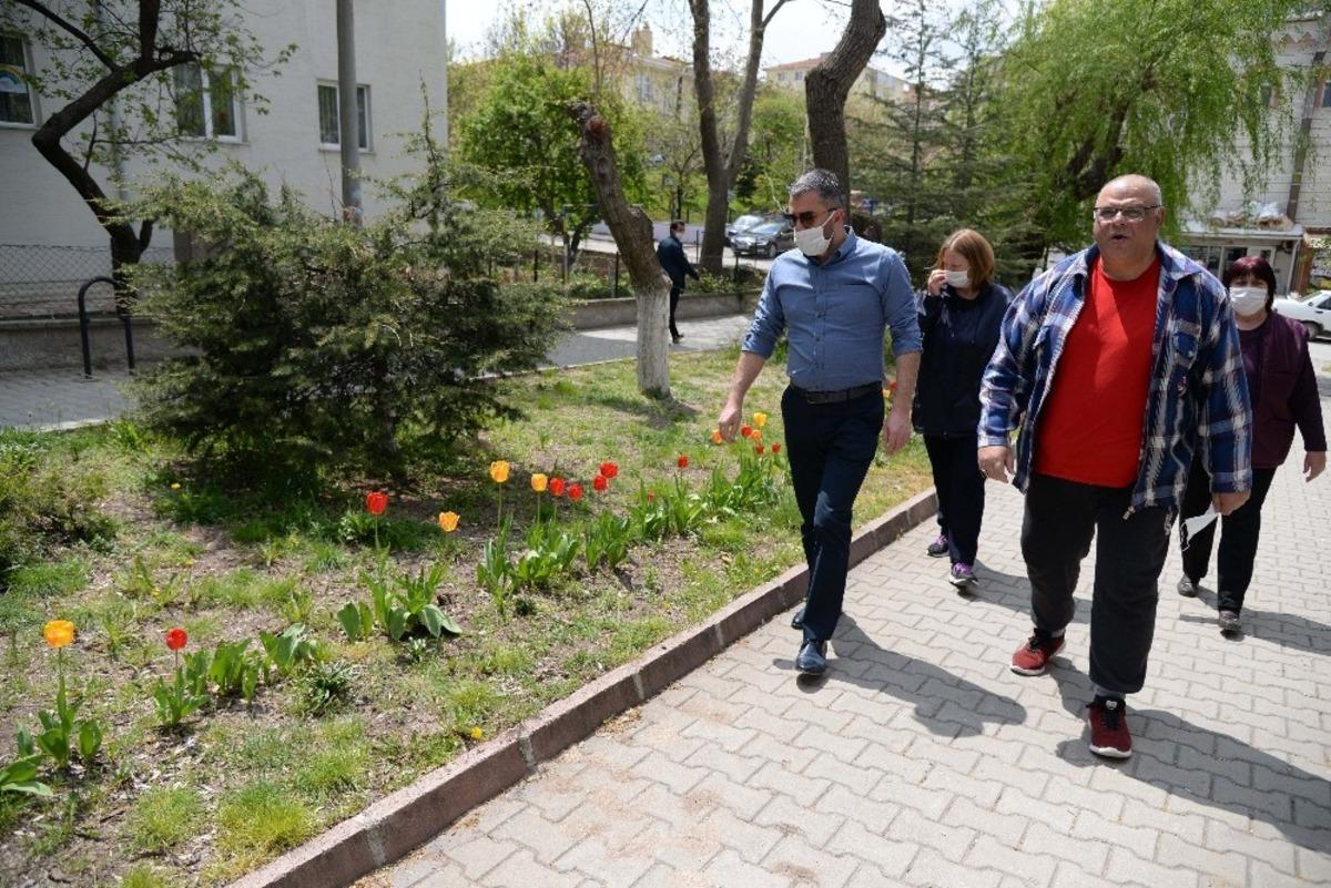 Pursaklar lalelerin g&ouml;z alıcı g&uuml;zelliği ile ta&ccedil;lanıyor