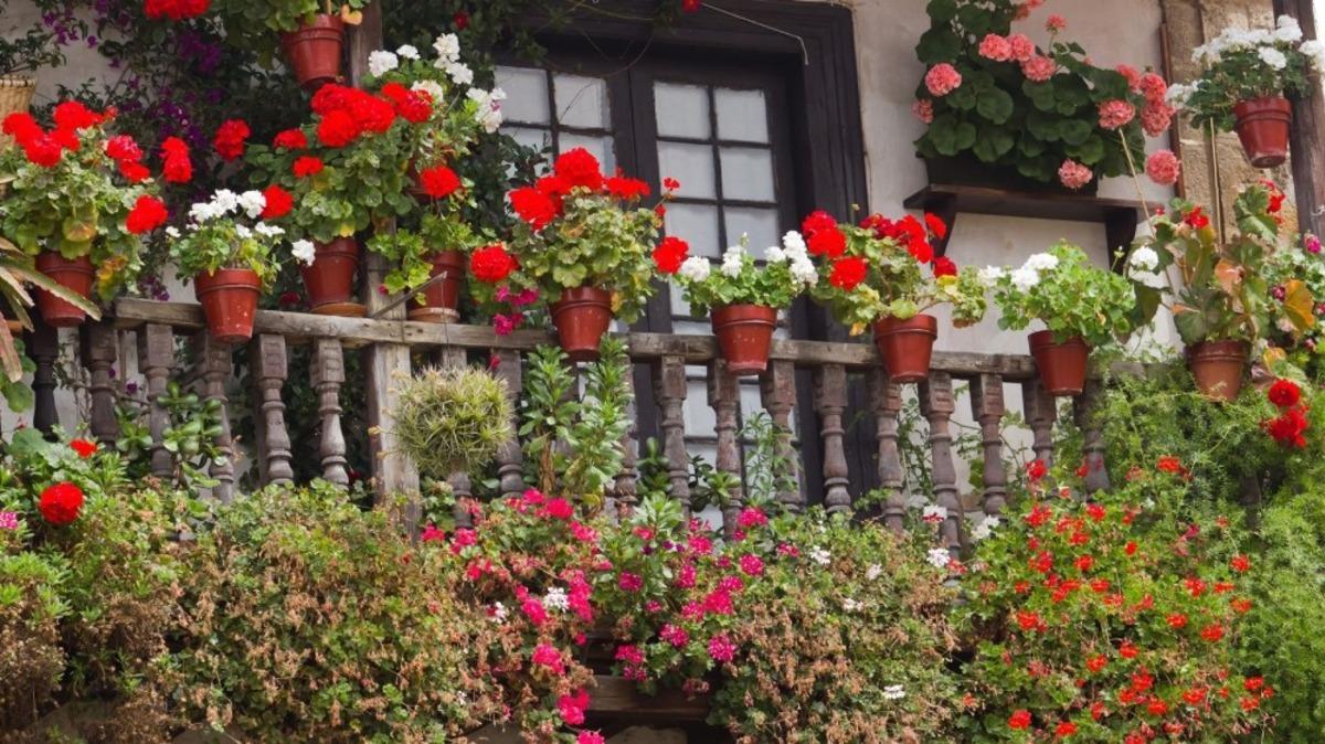 Ankara&rsquo;da en g&uuml;zel pencere, balkon ve teraslar yarışma ile belirlenecek