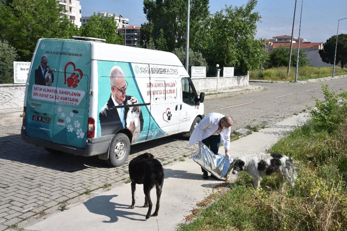 Manisa&rsquo;da sokak hayvanlarına d&uuml;zenli mama desteği