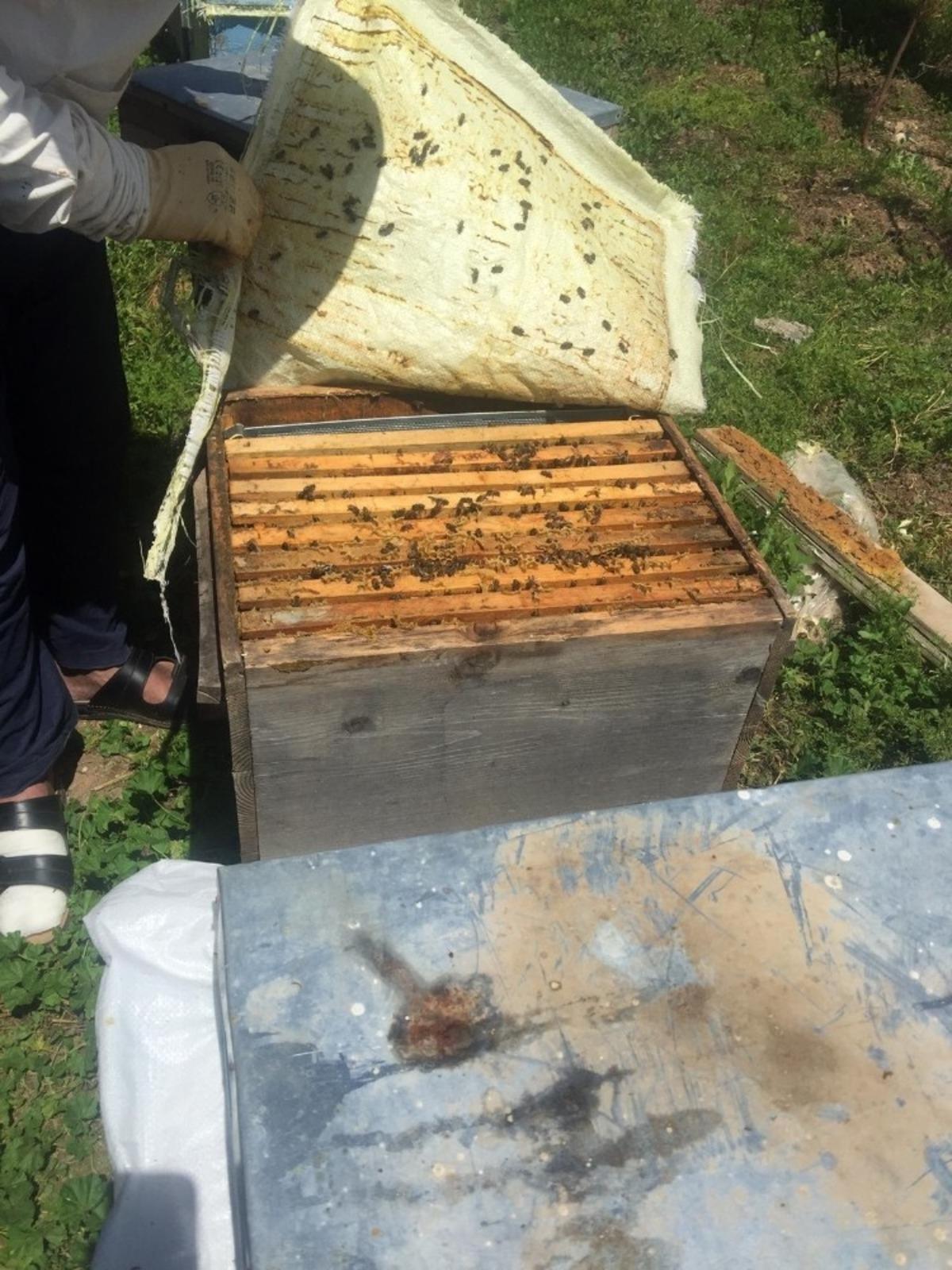 Sur&rsquo;da arıcılık sezonu başlıyor