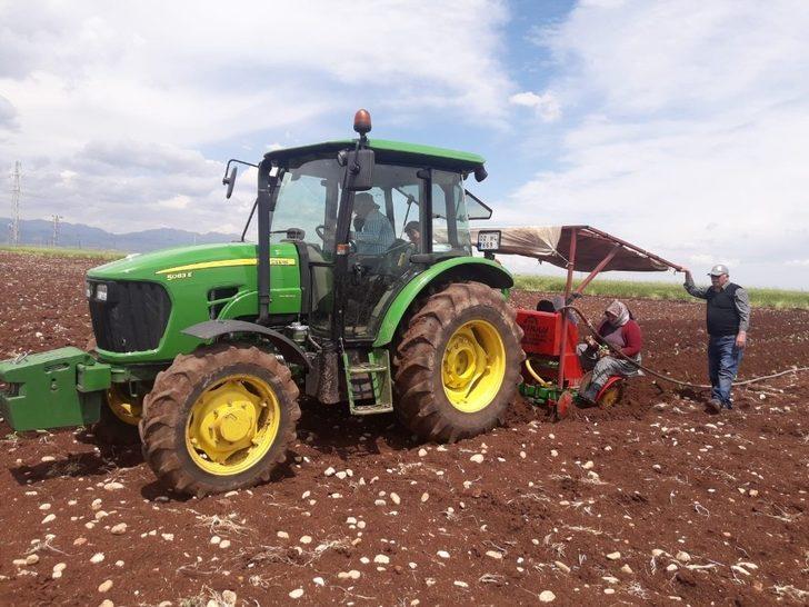 Adıyaman’da tütün ekimi başladı G3