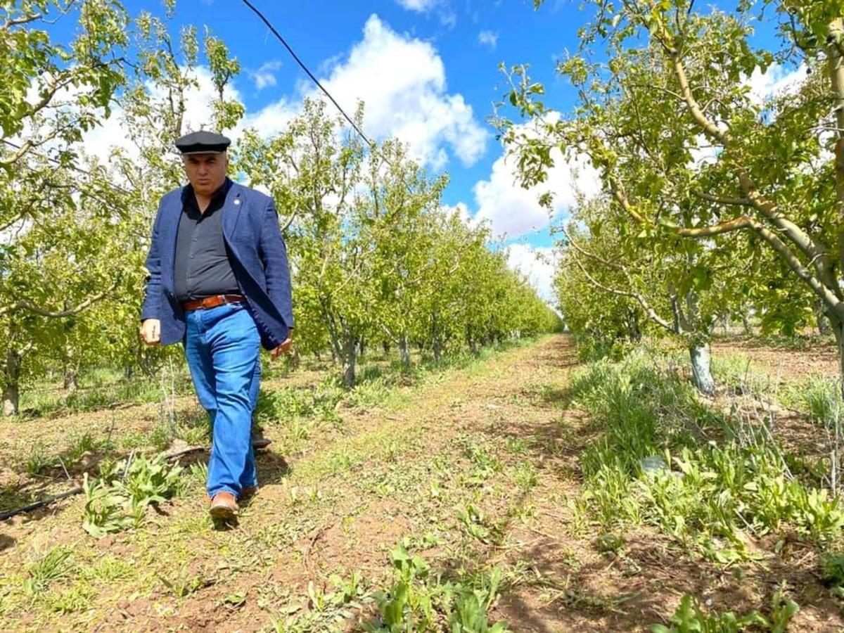 Ziraat Odası Başkanı Bayram: &ldquo;Dolu &uuml;&ccedil; k&ouml;y&uuml;m&uuml;zde ekili araziler ve elma bah&ccedil;elerine ciddi zarar verdi&rdquo;
