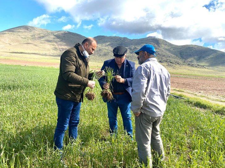 Ziraat Odası Başkanı Bayram: “Dolu üç köyümüzde ekili araziler ve elma bahçelerine ciddi zarar verdi” G2