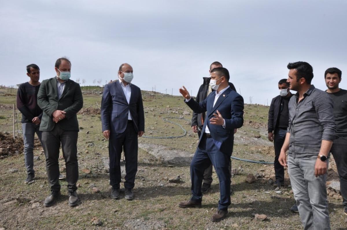 Erciş Belediyesinden meyve bah&ccedil;esi