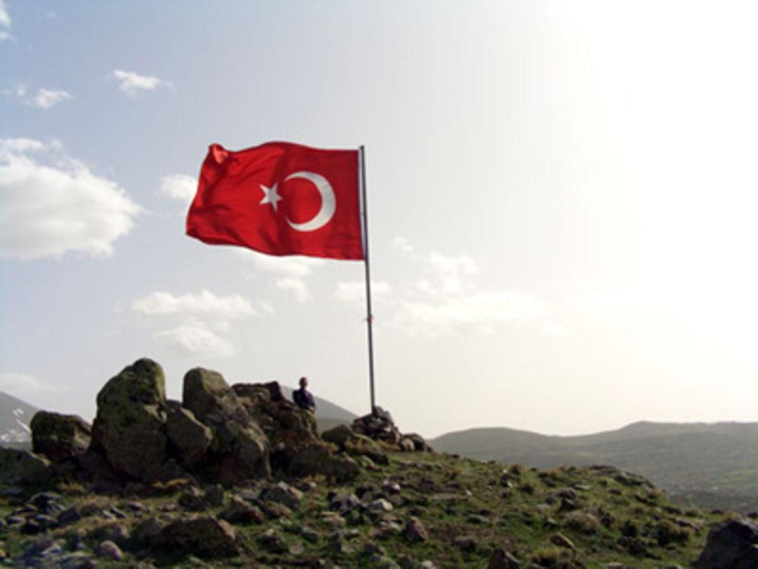 Türk ığdır