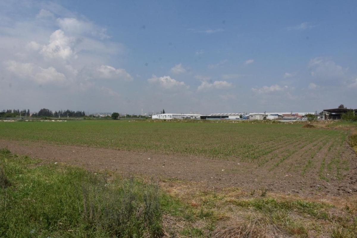 Tarsus Belediyesi, &lsquo;Zehirsiz Sofralar Kuruyoruz&rsquo; projesini hayata ge&ccedil;iriyor