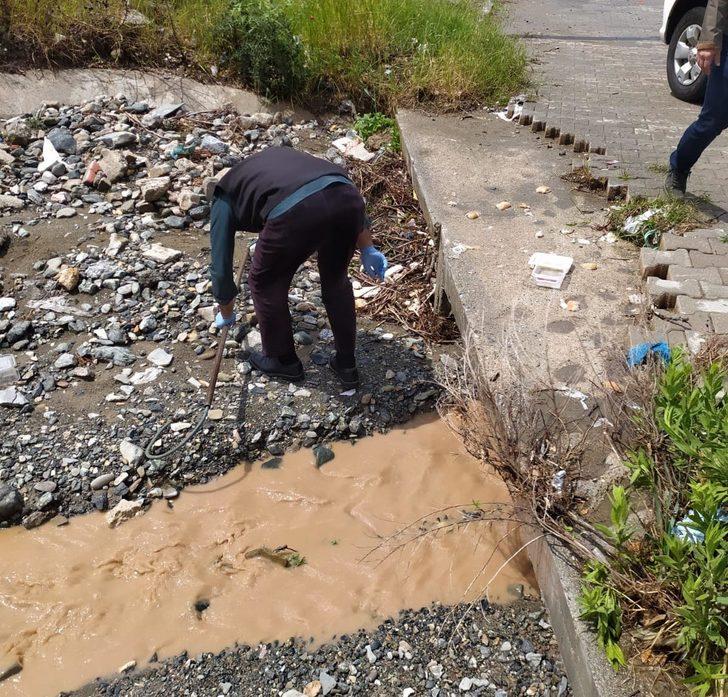 Yağmur suyu menfezindeki 7 yavru köpek kurtarıldı G2