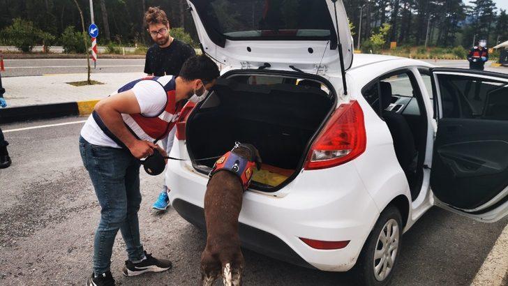 Yasak kalktı, Marmaris giriş noktası hareketlenmeye başladı G5