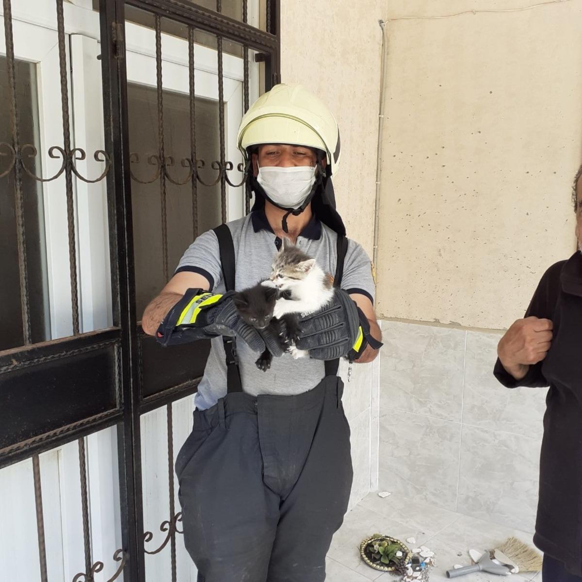 Mahsur kalan yavru kedileri itfaiye kurtardı