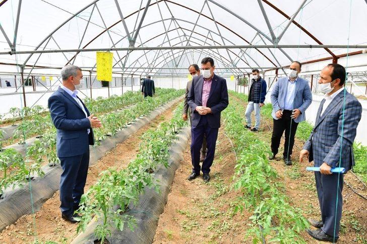 Yeşilyurt’ta Meyve Kurutma ve Kükürtleme Tesisi kurulacak G1