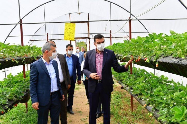 Yeşilyurt’ta Meyve Kurutma ve Kükürtleme Tesisi kurulacak G3