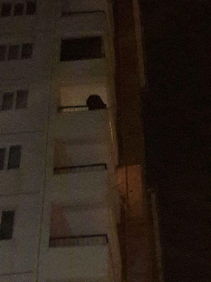 Annesinin ölümüne dayanamadı, 8'inci kattan atlamak istedi G5