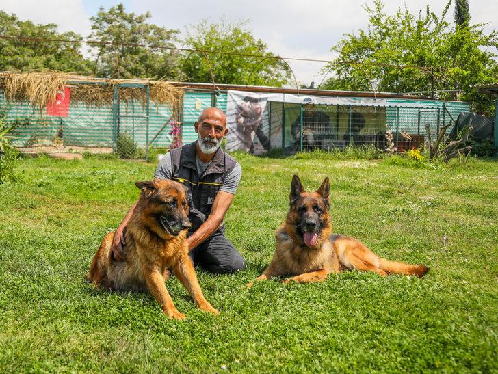 Koronavirüse karşı dikkat çeken açıklama: Köpekler tespit edebilir G1