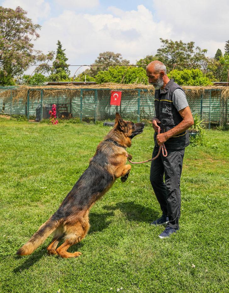 Koronavirüse karşı dikkat çeken açıklama: Köpekler tespit edebilir G3