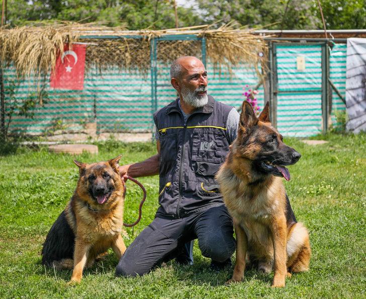 Koronavirüse karşı dikkat çeken açıklama: Köpekler tespit edebilir G5