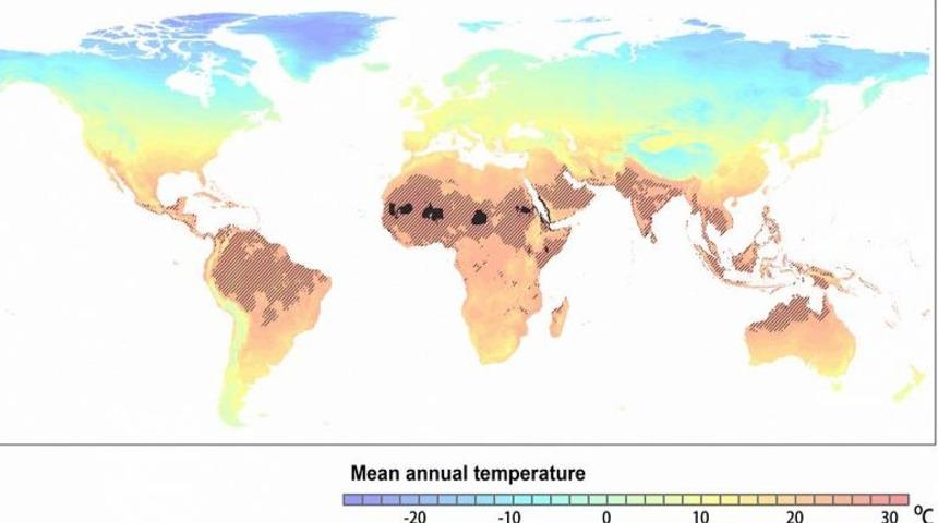 Önlem alınmazsa 2070 yılında dünya Sahra sıcağıyla karşılaşacak